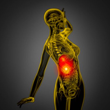 3D render Medikal illüstrasyon karaciğer - yan görünüm