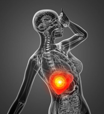 3D render Medikal illüstrasyon karaciğer - yan görünüm