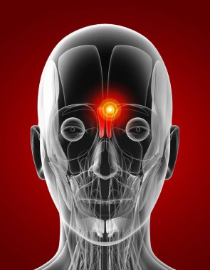 tıbbi yaptırmışsın gösterimi