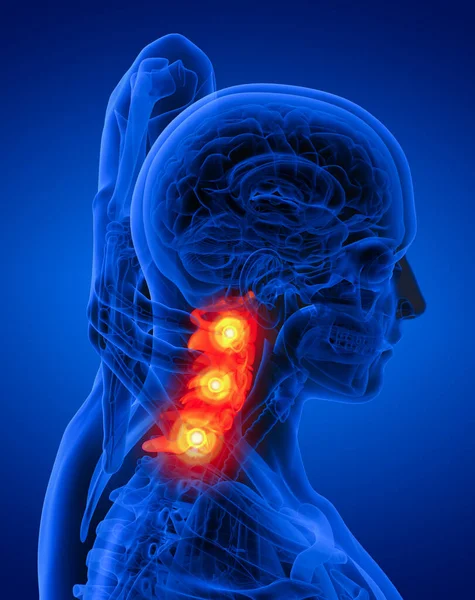 Render Medical Illustration Cervical Spine Side View — Stock Photo, Image