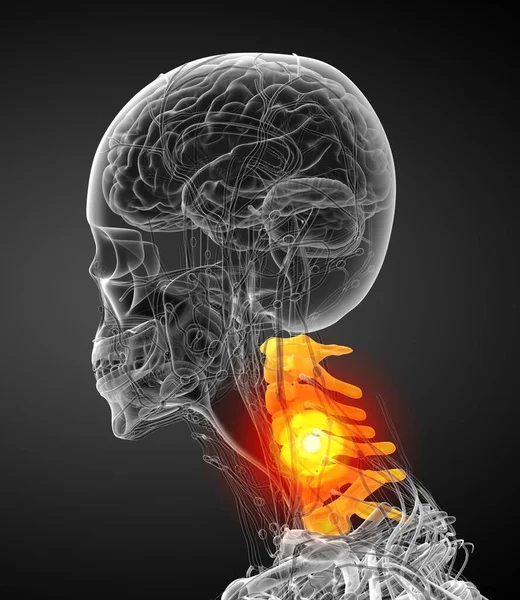 Render Medical Illustration Cervical Spine Side View — Stock Photo, Image