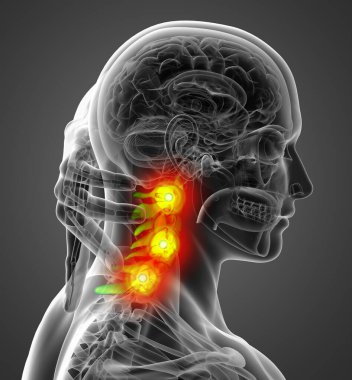 3D render Medikal illüstrasyon Servikal Omurga - yan görünüm