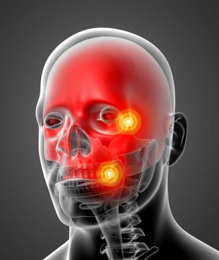 3D render Medikal illüstrasyon üst kafatası - Önden Görünüm