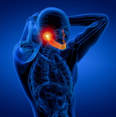 3D render illüstrasyon - çene kemiği - yan görünüm