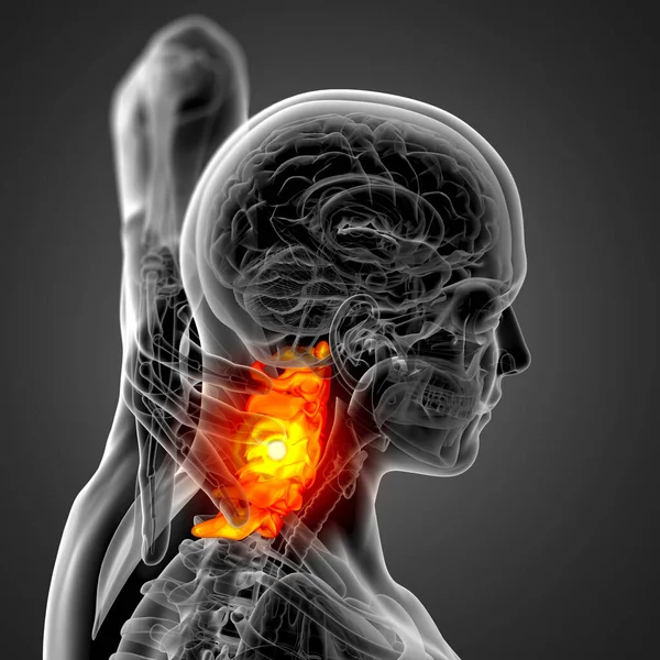 Render Medical Illustration Cervical Spine Side View — Stock Photo, Image