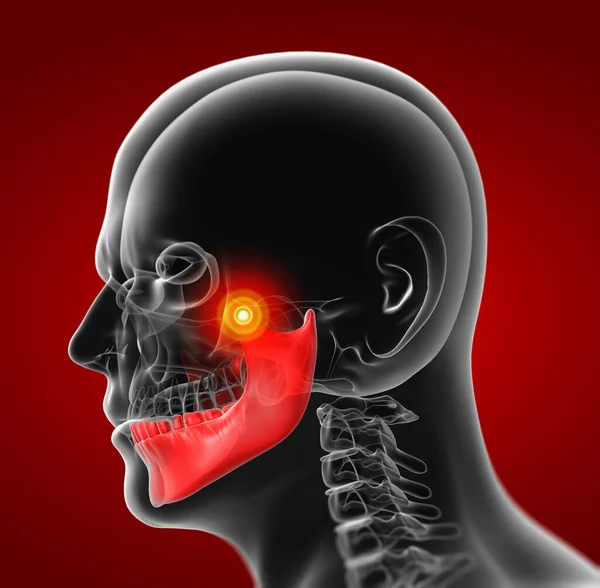 Weergegeven Illustratie Kaakbeen Zijaanzicht — Stockfoto