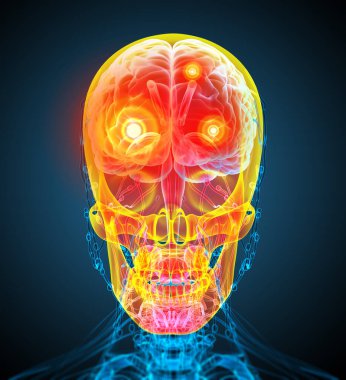 insan kafatası-ön görünüm 3D render tıbbi illüstrasyon