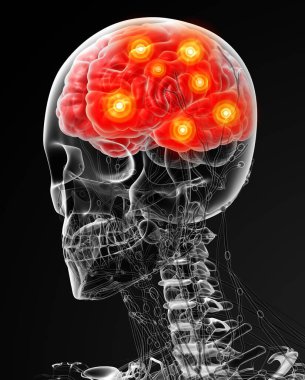 işlenmiş illüstrasyon erkeğin beyin - yan görünüm