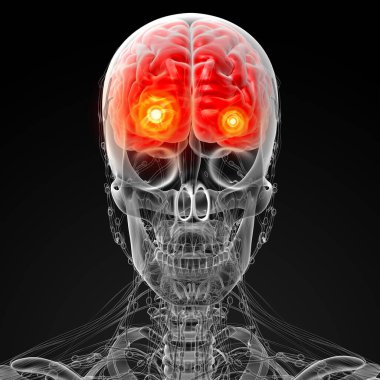 erkek beyni 3D render çizimi