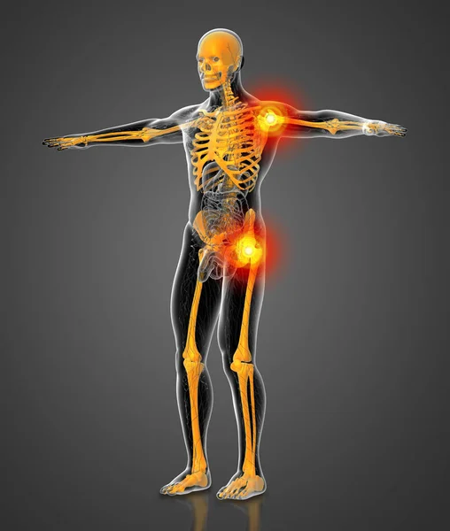 Medical Illustration Human Skeleton Side View — Stock Photo, Image