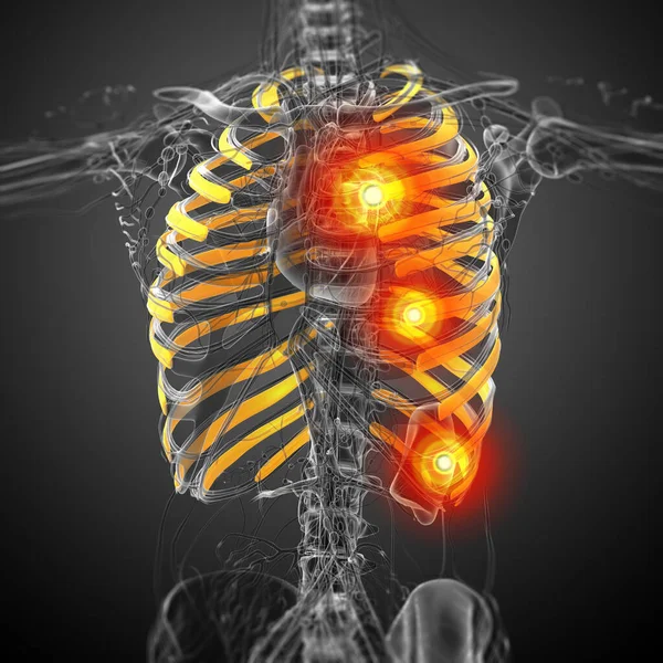 胸部の3Dレンダリング医療イラスト 側面図 — ストック写真