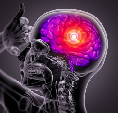 beyin tarafı görünümü 3D tıbbi Illustration