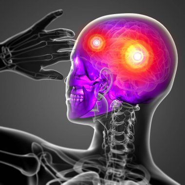 kafatası-arka görünüm 3D render tıbbi illüstrasyon