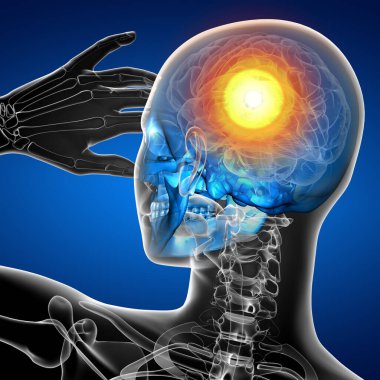 kafatası-arka görünüm 3D render tıbbi illüstrasyon