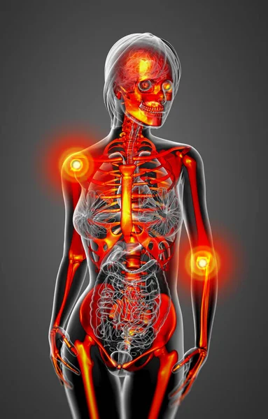 Ilustração Médica Esqueleto Humano Visão Frontal — Fotografia de Stock