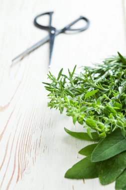 taze otlar ile scrissors