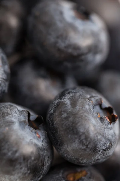 Fresh Bilberries — Stock Photo, Image