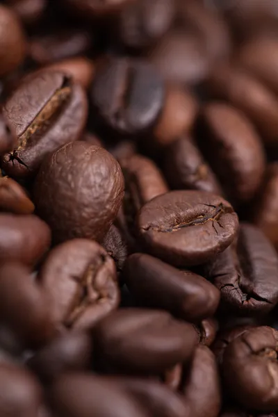 Coffee beans — Stock Photo, Image