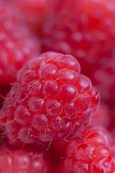 Fresh Raspberries background Royalty Free Stock Images