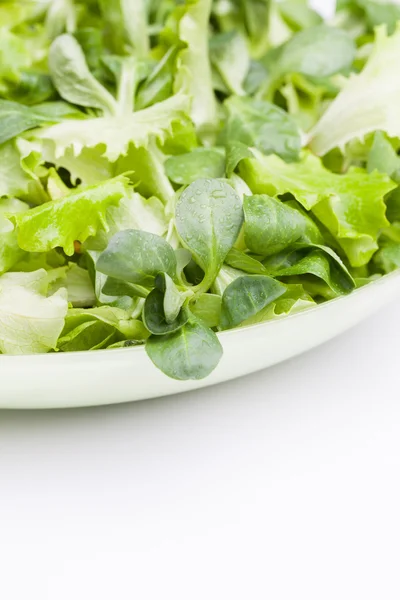 Ensalada — Foto de Stock