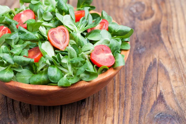 Ensalada — Foto de Stock