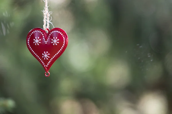 Decoración del corazón de Navidad con pino — Foto de Stock