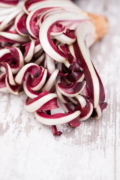 Red chicory — Stock Photo, Image