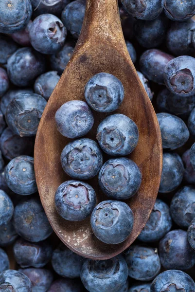 Heidelbeeren — Stockfoto