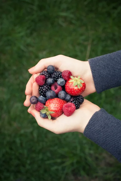 Frutos vermelhos — Fotografia de Stock