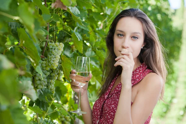 Wine Tasting in Vineyard — Stock Photo, Image