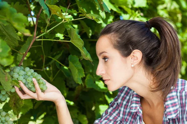 Young woman looking at a bunch of grapes — Stock Photo, Image