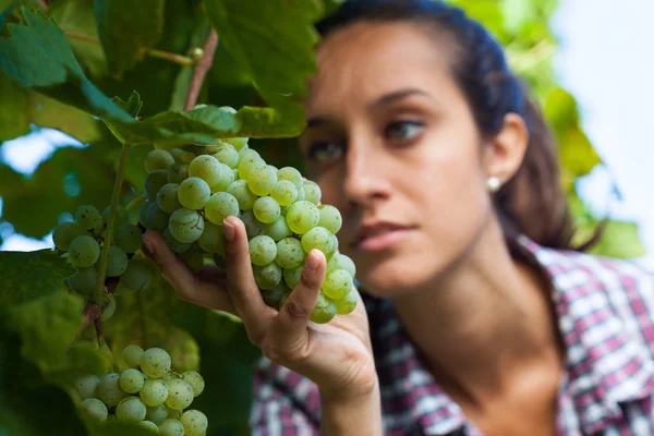 Jonge vrouw kijken naar een tros druiven — Stockfoto