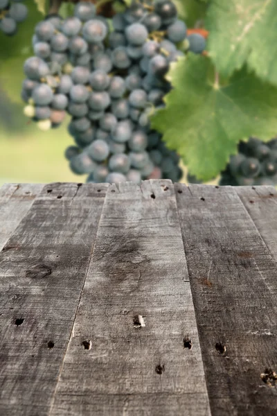 Picnic table — Stock Photo, Image