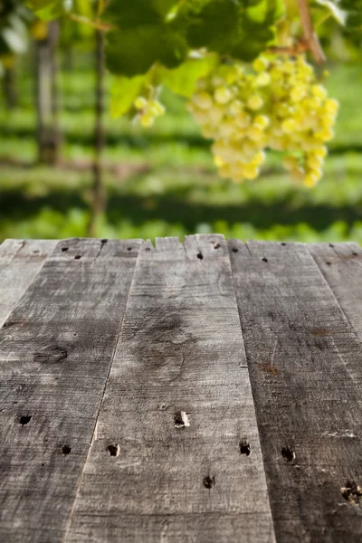 Picnic table in the wineyeard — Stock Photo, Image