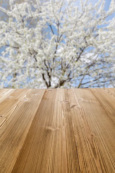 Spring Picnic table — Stock Photo, Image