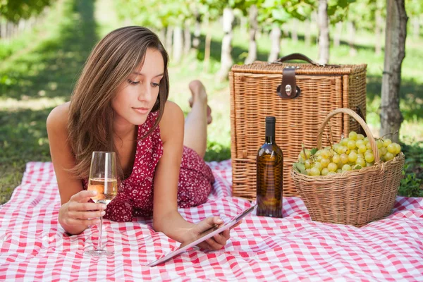 Young woman use tablet to a picnic — Stock Photo, Image