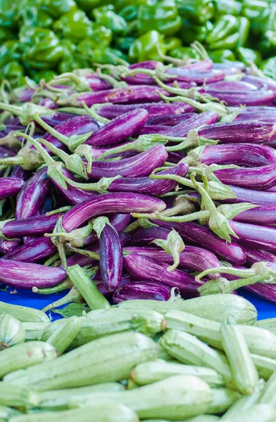 Eggplants and zucchini — Stock Photo, Image