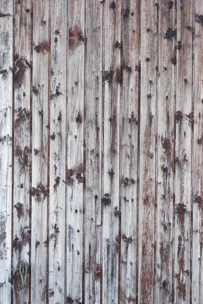 White grunge plank wood — Stock Photo, Image