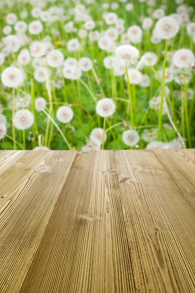 Picnic table in the dandelion's field — Stock Photo, Image