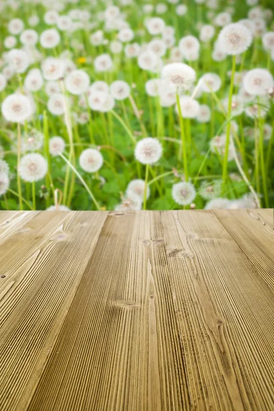 Mesa de picnic en el campo del diente de león — Foto de Stock