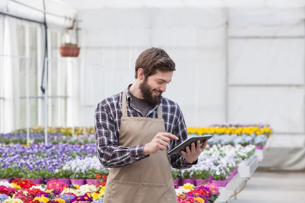 Men working at greenhouse with a tablet — Stock Photo, Image