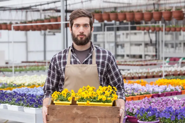 Jovem florista masculino adulto — Fotografia de Stock