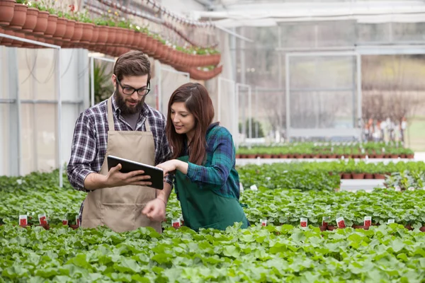 Trabajadores del jardín con tableta — Foto de Stock