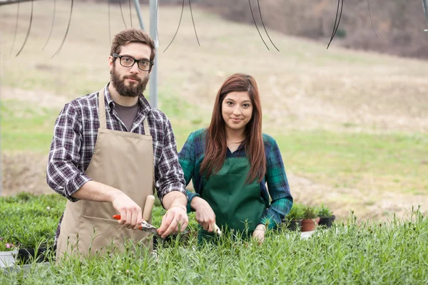 Florista y compañero de trabajo — Foto de Stock