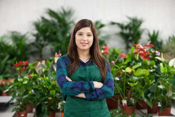 Florist planting flowers in nursery garden — Stock Photo, Image