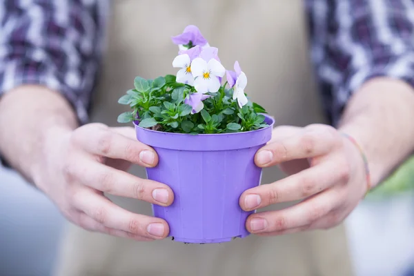 Man Holding Potted Flowers — Stock Photo, Image