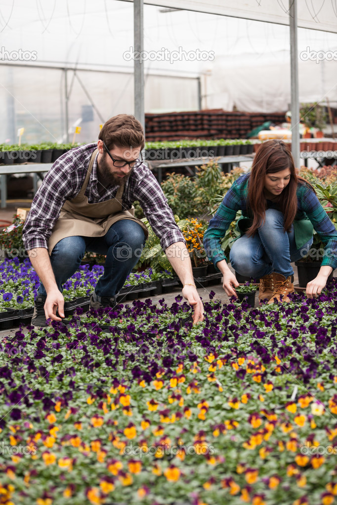 Male and female florist working