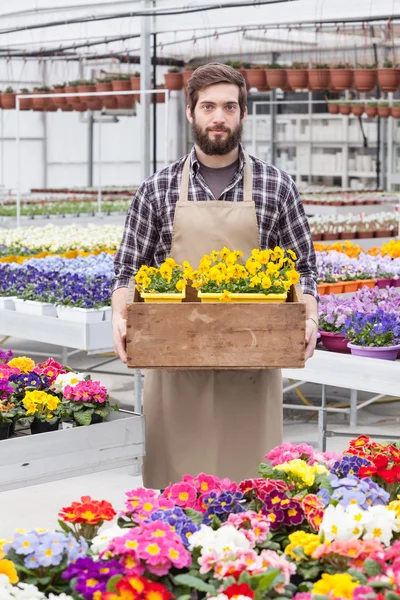 Fleuriste masculin travaillant à l'intérieur — Photo