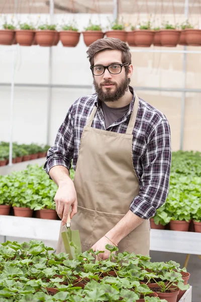 Floristería masculina trabajando en interiores — Foto de Stock