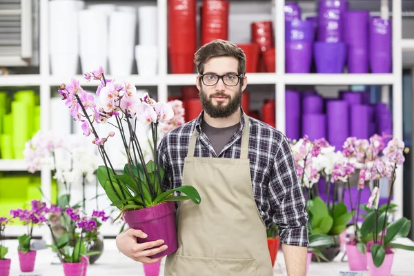 Jovem florista masculino adulto em estufa — Fotografia de Stock